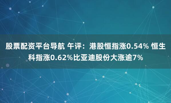 股票配资平台导航 午评：港股恒指涨0.54% 恒生科指涨0.62%比亚迪股份大涨逾7%