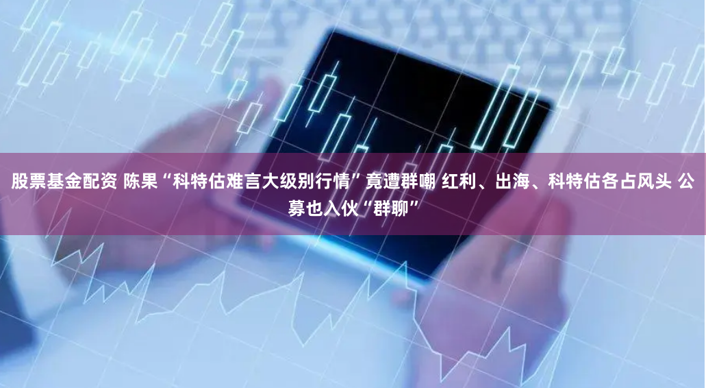 股票基金配资 陈果“科特估难言大级别行情”竟遭群嘲 红利、出海、科特估各占风头 公募也入伙“群聊”