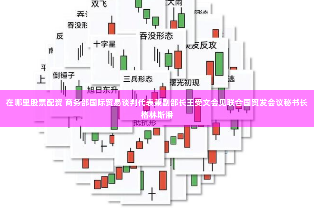 在哪里股票配资 商务部国际贸易谈判代表兼副部长王受文会见联合国贸发会议秘书长格林斯潘