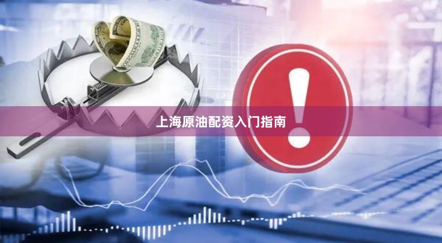 上海原油配资入门指南